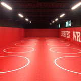 Wrestling Room with Roll-Out Wall Padding